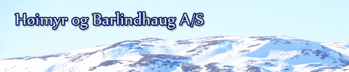 Logo - Høimyr og Barlindhaug AS